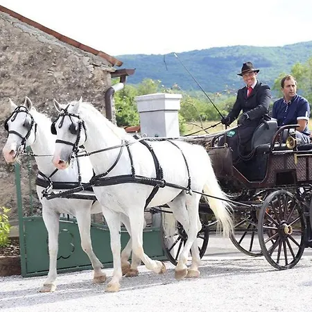 Bed and breakfast Lokev Hostel, Lipica 3*