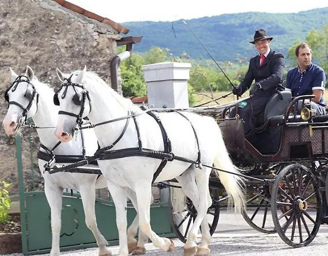 ベッド・アンド・ブレックファスト Lokev Hostel, Lipica 3*